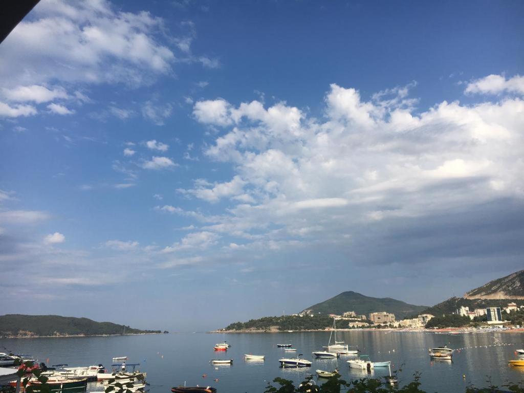 Acika Apartments Rafajlovići Dış mekan fotoğraf