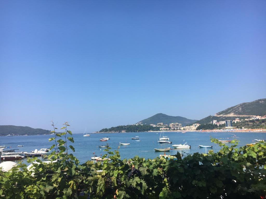 Acika Apartments Rafajlovići Dış mekan fotoğraf